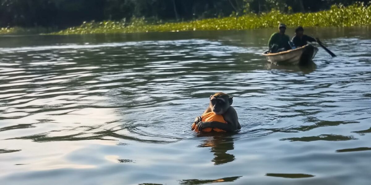 Fishermen's Incredible River Rescue: Unexpected Animal Reveals a Surprising Twist