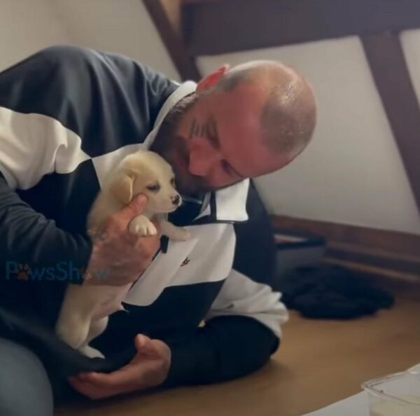 From Abandonment to Unbreakable Bond: How One Man Changed a Puppy’s Fate Forever-1