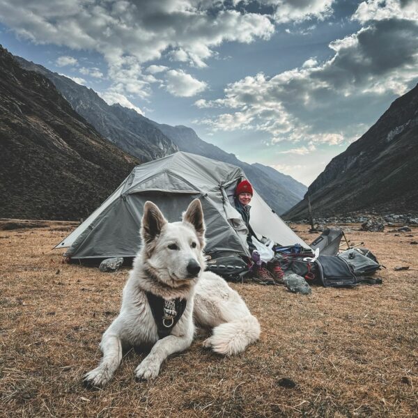 Journey of Healing: Woman and Her Dog's Motorcycle Adventures After Heartbreak-1