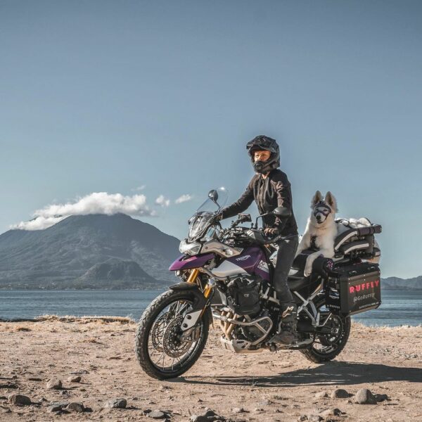 Journey of Healing: Woman and Her Dog's Motorcycle Adventures After Heartbreak-1