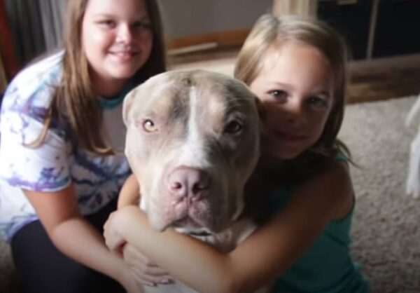 Kind Stranger Saves Pitbull From Euthanasia Just in Time-1