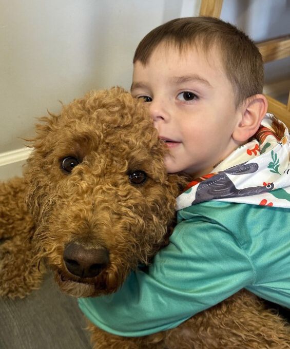 Man's Grooming Mishap with Goldendoodle Leaves Family in Stitches and Surprise-1