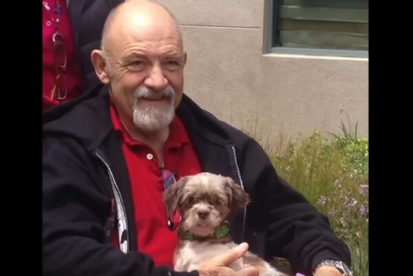 Mystery Box at Animal Shelter Reveals an Unbelievable Surprise Inside-1