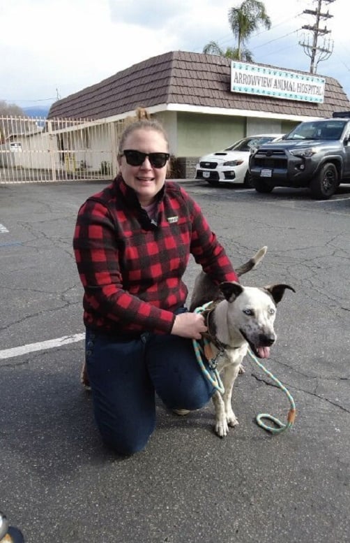 Rescuers Discover Timid Canine With Mysterious Neck Accessory at Drive-Thru-1