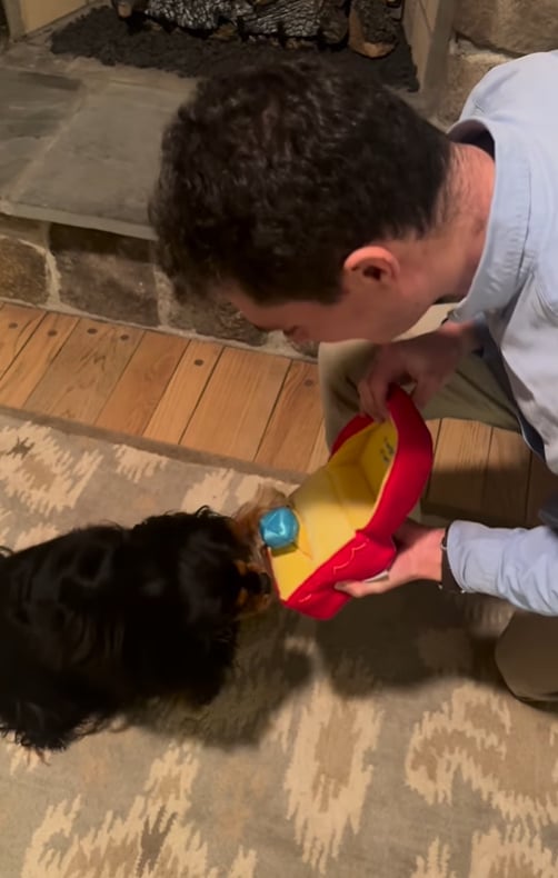 She Said Yes, But Wait Until You See What He Did For Her Furry Best Friend!-1