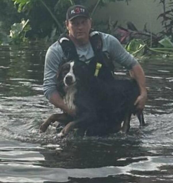 The Unbreakable Bond: A Dog's Grateful Gaze Captures Hearts in Florida Flood Rescue-1