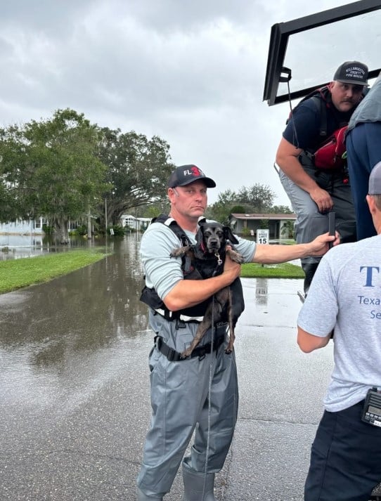 The Unbreakable Bond: A Dog's Grateful Gaze Captures Hearts in Florida Flood Rescue-1