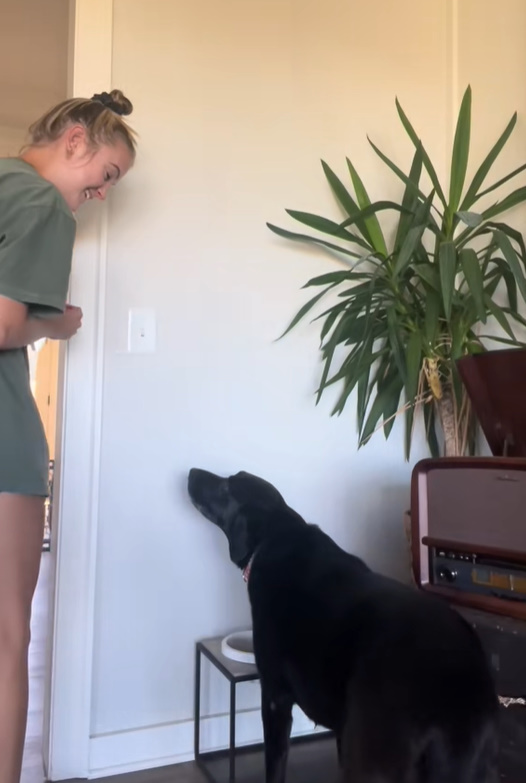 This Dog's Dinner Ritual Will Melt Your Heart and Make You Believe in Love-1