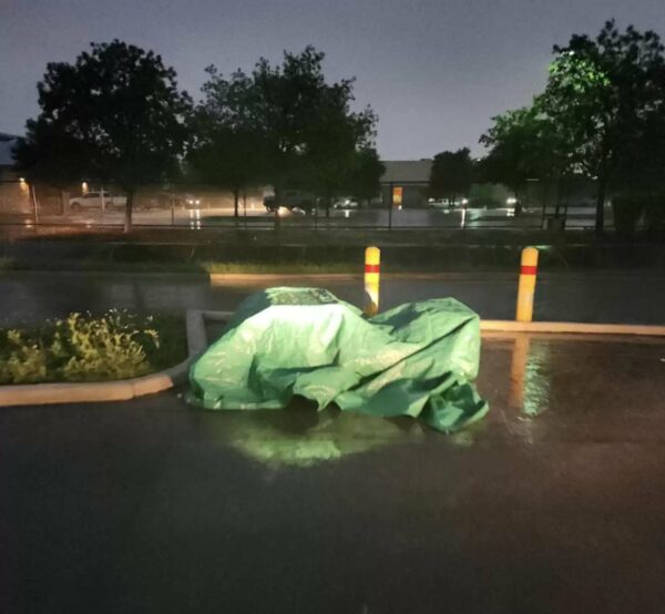 What the Shelter Staff Found Underneath the Tarp Will Leave You Speechless-1