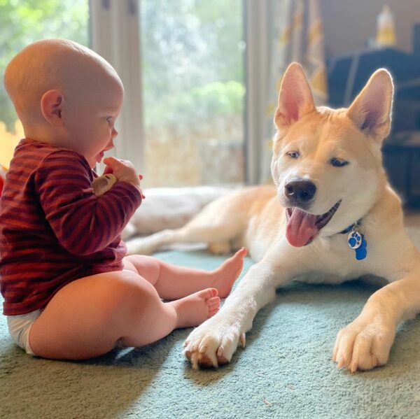 Witness The Unbelievable Bond Between This Loyal Dog And His Human Siblings-1