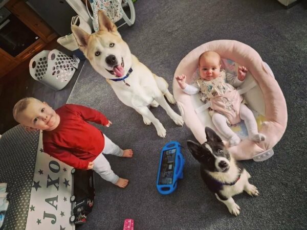 Witness The Unbelievable Bond Between This Loyal Dog And His Human Siblings-1