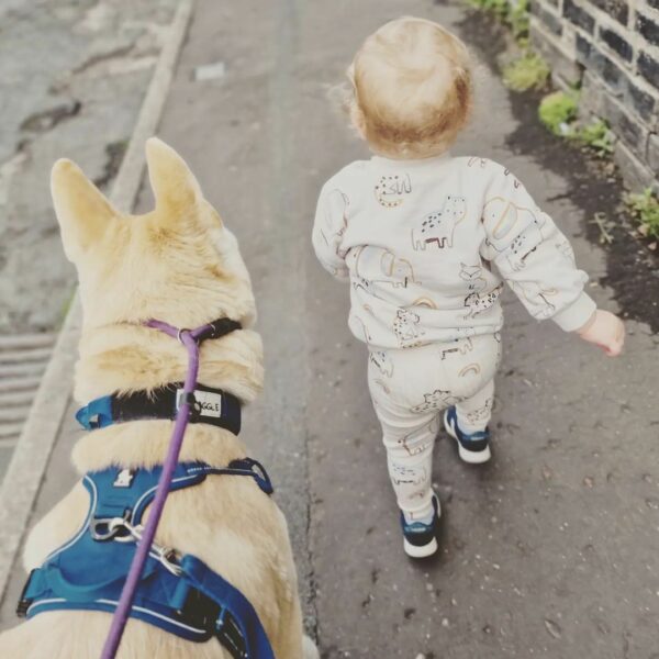 Witness The Unbelievable Bond Between This Loyal Dog And His Human Siblings-1