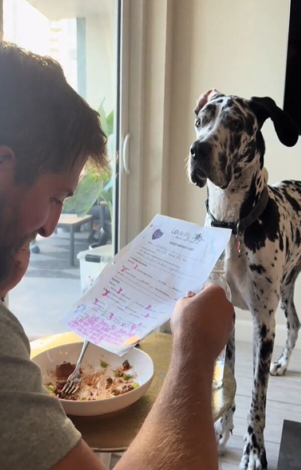 You'll Never Believe This Dog's Reaction to His Daycare Report Card!-1