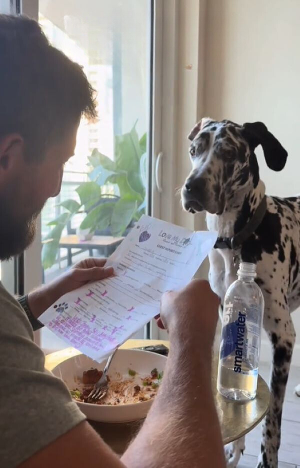 You'll Never Believe This Dog's Reaction to His Daycare Report Card!-1