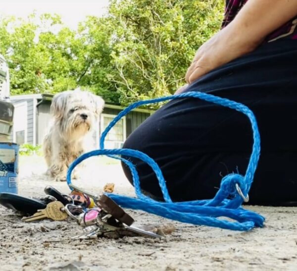 Rescuer's Heart Stops at the Sight of Neglected Puppy-1