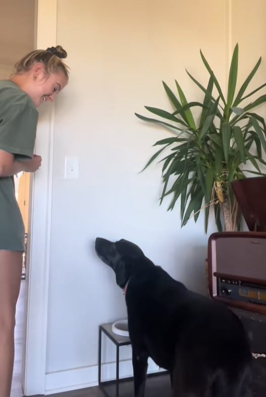 This Dog's Pre-Meal Ritual Will Melt Your Heart and Make You Smile-1